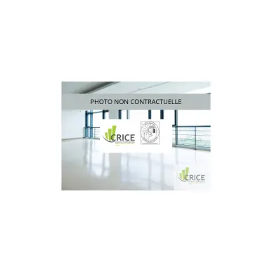 Location Local Commercial - Charente-Maritime (17)-photo-2