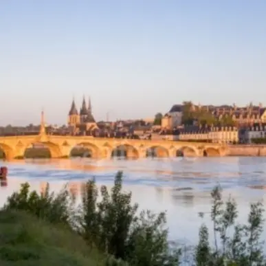 Vente - Hôtel - Restaurant - Blois (41000)-photo-8