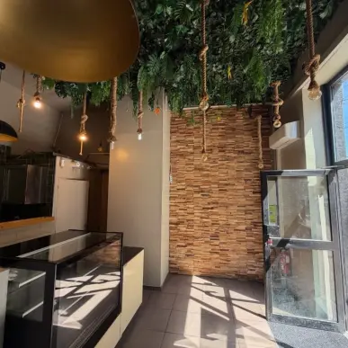 Vente - Restaurant - Restaurant rapide - Snack - Villeurbanne (69100)-photo-6