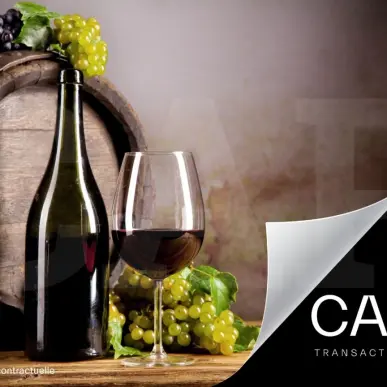 Vente - Bar - Cave à vins - Vins et spiritueux - Rennes (35000)-photo-2