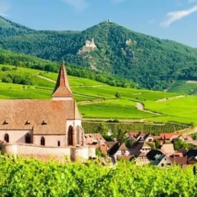 Location Local Commercial - Haut-Rhin (68)-photo-2