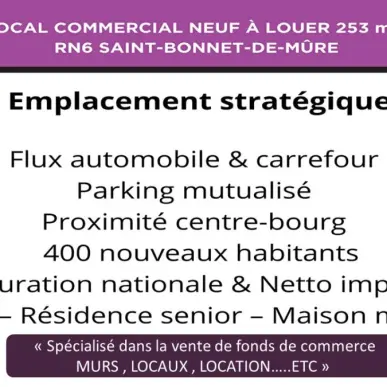 Location Local Commercial - Rhône (69)-photo-3