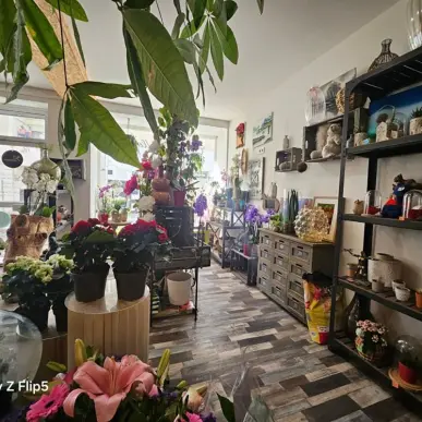 Vente - Fleuriste - Marne (51)-photo-7
