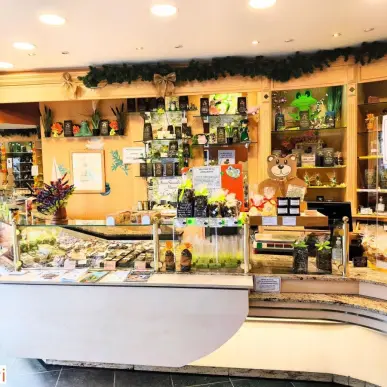 Vente - Chocolaterie Chocolatier - Belmont-sur-Vair (88800)-photo-4