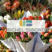 Vente - Fleuriste - Bouches-du-Rhône (13)