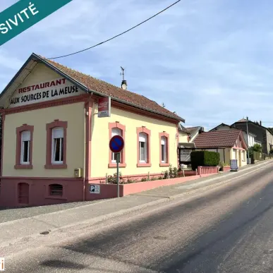 Vente - Bar - Restaurant - Pressing - Avrecourt (52140)-photo-10