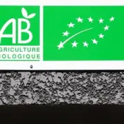 Vente - Boulangerie - Gironde (33)