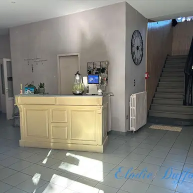 Vente - Bar - Hôtel - Restaurant - Hautes-Pyrénées (65)-photo-3