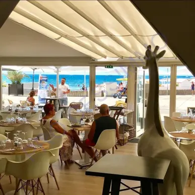 Vente - Brasserie - Licence IV - Hérault (34)-photo-1