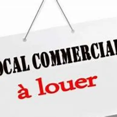 Location Local Commercial - Barcelonne-du-Gers (32720)-photo-2