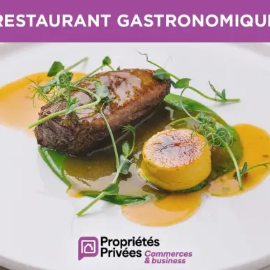 Vente - Bar - Hôtel - Restaurant - Vosges (88)-photo-3