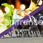 Location Local Commercial - Bliesbruck (57200)