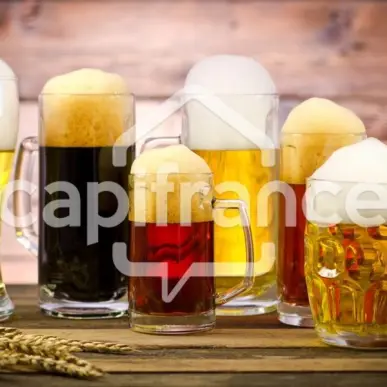 Vente - Bar - Brasserie - Adé (65100)-photo-2