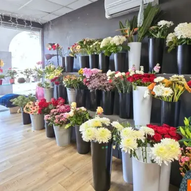 Vente - Fleuriste - Le Grau-du-Roi (30240)-photo-6