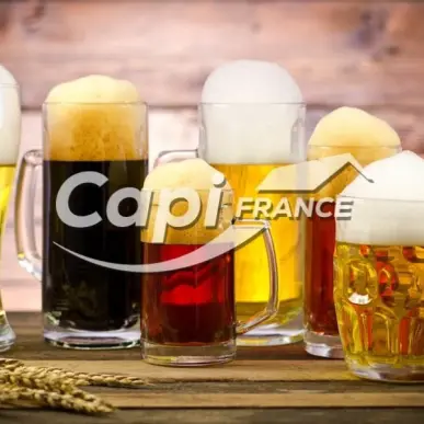 Vente - Bar - Brasserie - Aix-les-Bains (73100)-photo-1