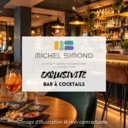 Vente - Bar - Bar à thème - Licence IV - Finistère (29)