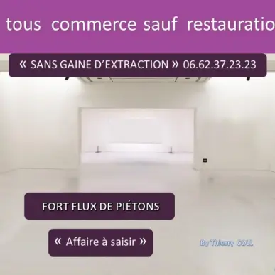 Vente - Poissonnerie - Rhône (69)-photo-3