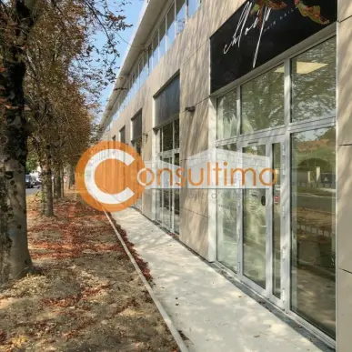 Vente de murs commerciaux - Carbon-Blanc (33560)-photo-9