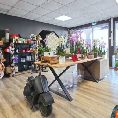 Vente - Fleuriste - Le Grau-du-Roi (30240)-photo-7