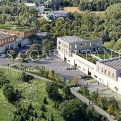 Vente Entrepôt / Local d'activités - Balmont (74600)-photo-6