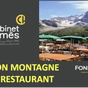 Vente - Hôtel - Restaurant - Auberge - Savoie (73)