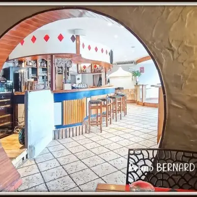 Vente - Bar - Restaurant - Aureilhan (65800)-photo-7