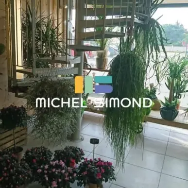 Vente - Fleuriste - Gard (30)-photo-7