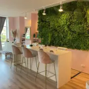 Location Local Commercial - Caluire-et-Cuire (69300)