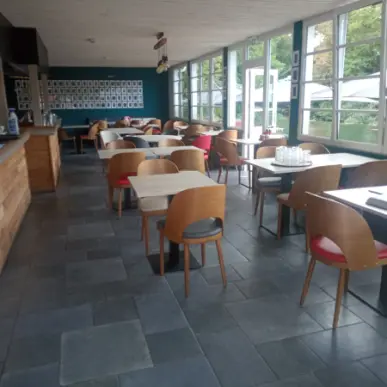 Vente - Restaurant - Restaurant à thème - Restaurant gastronomique - Vienne (86)-photo-1