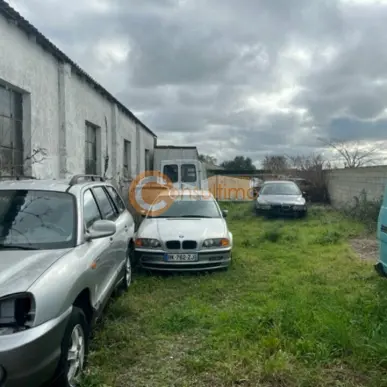 Vente Entrepôt / Local d'activités - Ambares-et-lagrave (33440)-photo-8