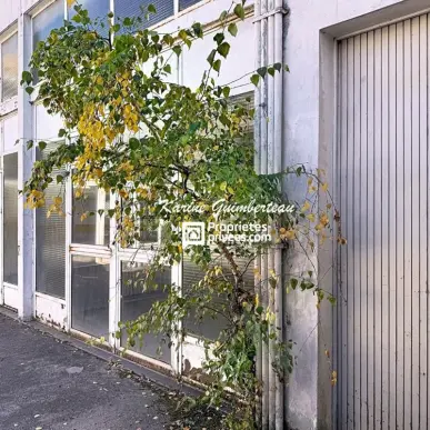 Vente Bureau - Gironde (33)-photo-4
