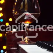 Vente - Discothèque - Chantonnay (85110)