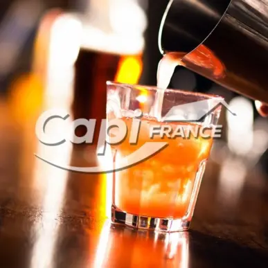 Vente - Bar - Brasserie - Restaurant - Aix-les-Bains (73100)-photo-3