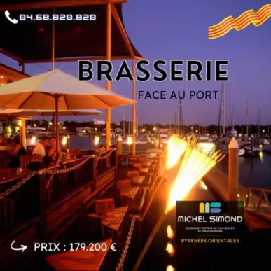 Vente - Bar - Restaurant - Glacier - Snack - Pyrénées-Orientales (66)-photo-1