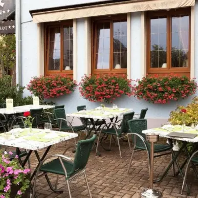 Vente - Hôtel - Restaurant - Bernardswiller (67210)-photo-2