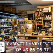 Vente - Restaurant - Tabac - Pizzeria - Alimentation - FDJ - Loto - Niort (79000)