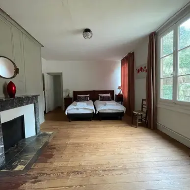 Vente - Gîte - Château-Renault (37110)-photo-4