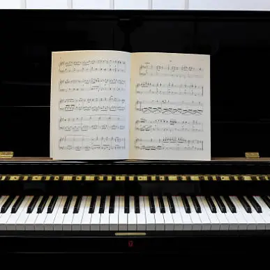 Vente - Musique - Bordeaux-photo-2