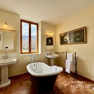 Vente de murs commerciaux - Vaucluse (84)-photo-8