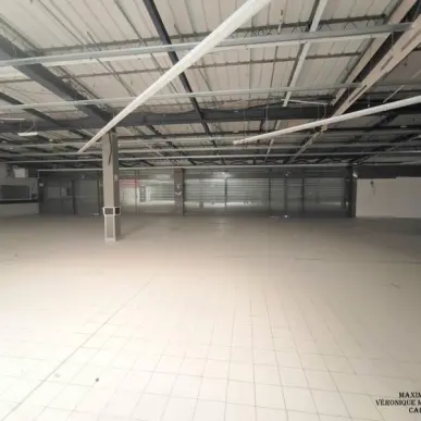 Vente de murs de boutique - Méry-sur-Cher (18100)-photo-1