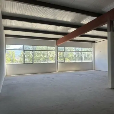 Location Entrepôt / Local d'activités - Cran-Gevrier (74960)-photo-2