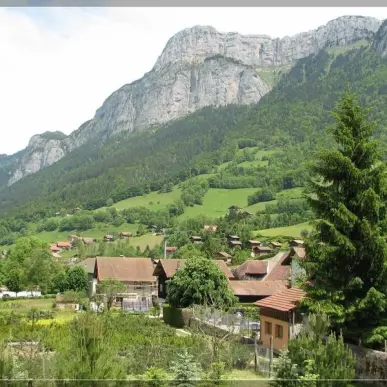 Vente - Restaurant - Ayse (74130)-photo-2