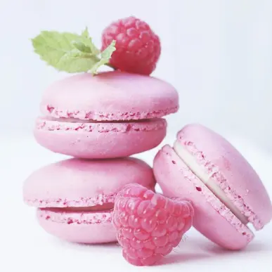 Vente - Boulangerie - Pâtisserie - Landes (40)-photo-4