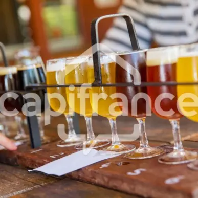 Vente - Brasserie - Marne (51)-photo-4