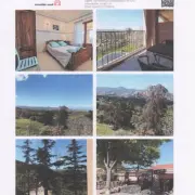 Vente - Bar - Hôtel - Restaurant - Pieve (20246)
