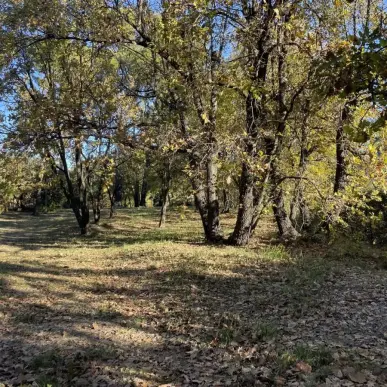 Vente Terrain ZI / ZA - Lorgues (83510)-photo-3