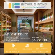 Vente - Tabac - Cigarettes électroniques - CBD - Lot (46)