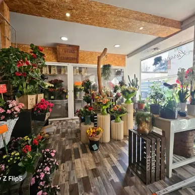 Vente - Fleuriste - Marne (51)-photo-6