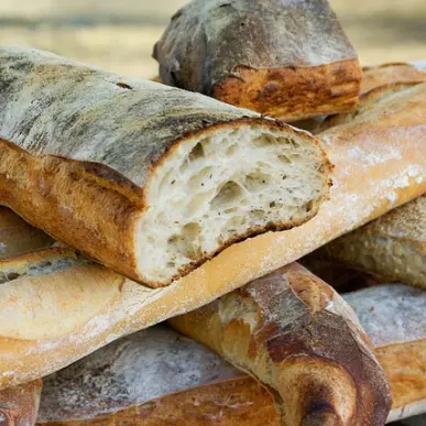 Vente - Boulangerie - Pâtisserie - Tarn-et-Garonne (82)-photo-3