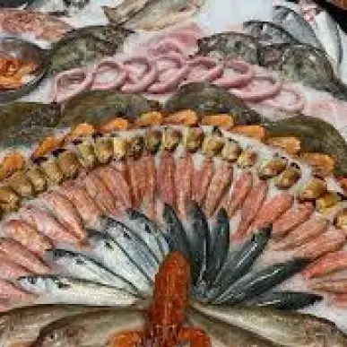 Vente - Poissonnerie - Orvault (44700)-photo-1